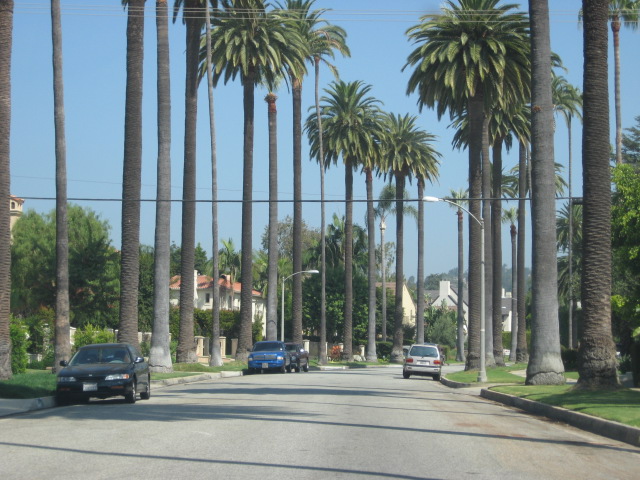 617x456 pixels (138K)